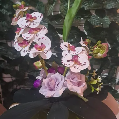 Flowers Vas
